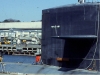 usspogy647.com.013.jpg