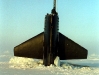 usspogy647.com.039.jpg